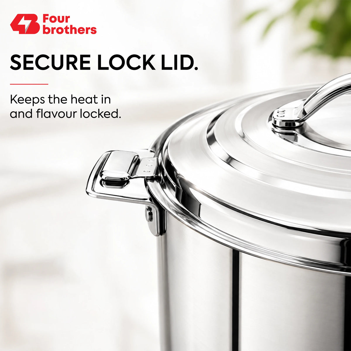 Nexa Hot Pot Stainless Steel Casserole, 1L to 10L | Four Brothers