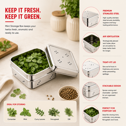 SS Mint & Coriander Storage Box | Fridge Fresh Herb Keeper | 100% Food Grade Steel